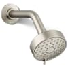 Vibrant Brushed Nickel
