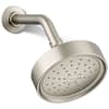 Vibrant Brushed Nickel