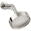 Vibrant Polished Nickel