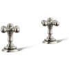 Vibrant Polished Nickel