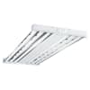 Baked White Enamel