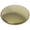 Polished Brass Uncoated (Living)