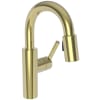 Polished Brass Uncoated (Living)