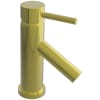 Polished Brass Uncoated (Living)