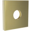 Forever Brass (PVD)