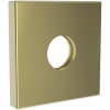 Polished Brass Uncoated (Living)