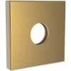 Satin Bronze - PVD