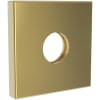 Polished Gold (PVD)