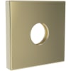 French Gold (PVD)