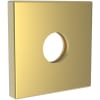Satin Gold (PVD)
