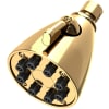 Polished Brass Uncoated (Living)