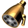 Polished Gold (PVD)