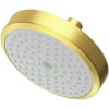 Satin Brass (PVD)