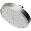 Stainless Steel (PVD)