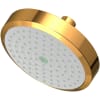 Polished Gold (PVD)