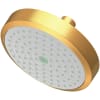 Satin Gold (PVD)