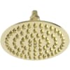 Polished Brass Uncoated (Living)
