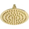 Polished Gold (PVD)
