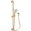 Polished Brass Uncoated (Living)