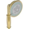 Polished Gold (PVD)