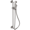 Stainless Steel (PVD)