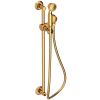 Polished Gold (PVD)
