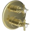 Forever Brass (PVD)