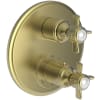 Satin Brass (PVD)