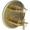 Polished Gold (PVD)