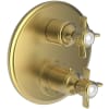Satin Gold (PVD)