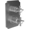 Stainless Steel (PVD)