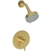 Satin Gold (PVD)