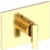 Forever Brass (PVD)