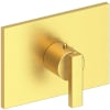 Satin Brass (PVD)