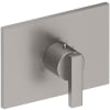 Stainless Steel (PVD)