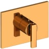 Polished Gold (PVD)