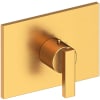 Satin Gold (PVD)