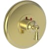 Polished Brass Uncoated (Living)