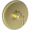 Satin Brass (PVD)