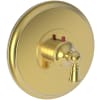 Polished Gold (PVD)