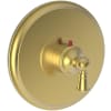 Satin Gold (PVD)