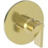 Forever Brass (PVD)
