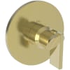 Polished Brass Uncoated (Living)