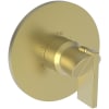 Satin Brass (PVD)