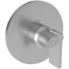 Stainless Steel (PVD)