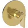 Polished Gold (PVD)