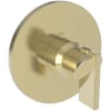 French Gold (PVD)