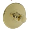 Polished Brass Uncoated (Living)