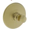 Satin Brass (PVD)