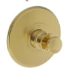 Polished Gold (PVD)